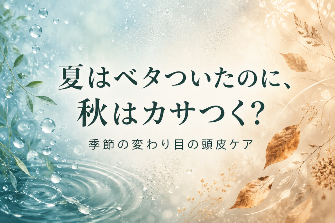 秋に頭皮が乾燥するのはなぜ？夏と冬のあいだの頭皮ケア対策｜aa-LABO.