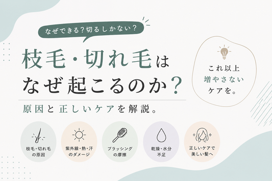 枝毛はなぜできる？切るしかないの？原因と増やさないケア方法｜aa-LABO.