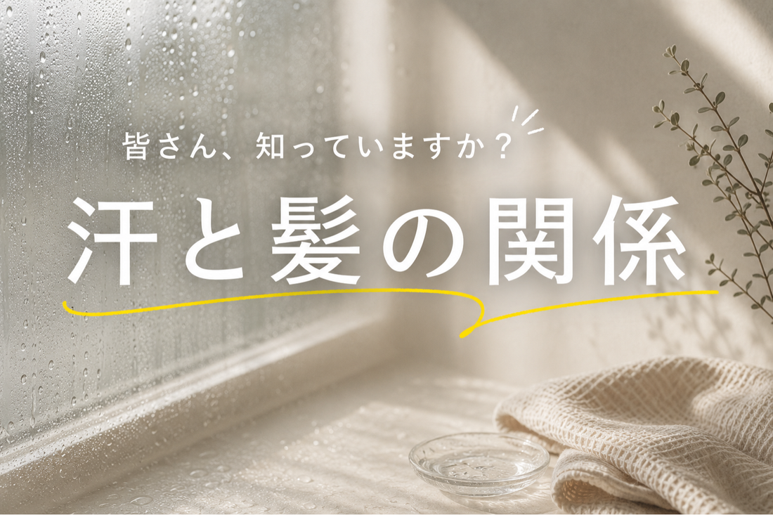 夏の汗は髪に何をする？汗と頭皮の関係と、正しいケア方法｜aa-LABO.