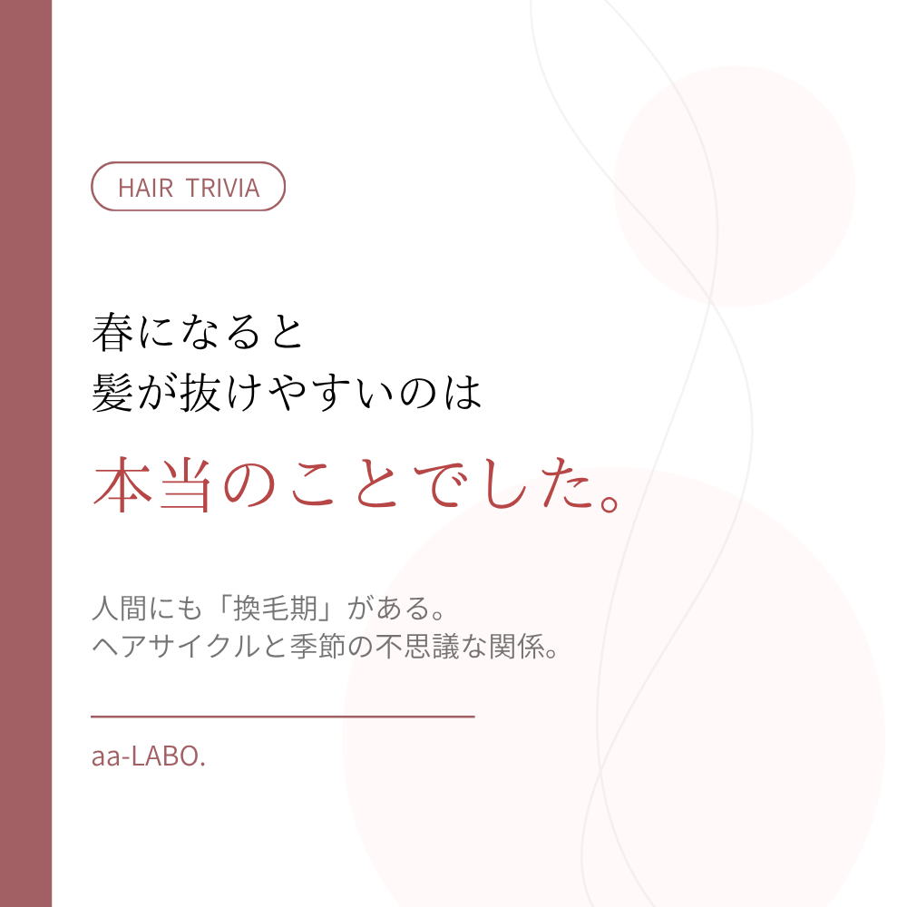 春に抜け毛が増える理由とは？ヘアサイクルと季節の関係｜aa-LABO.