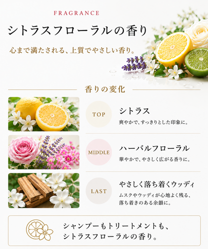 【DRH+】エイジングスカルプケア 究極のヘアケア7点SET (シャンプー/トリートメント(各本体・詰替え)/ダメージ補修美容原液/ヘアオイル/ヘアマスク)