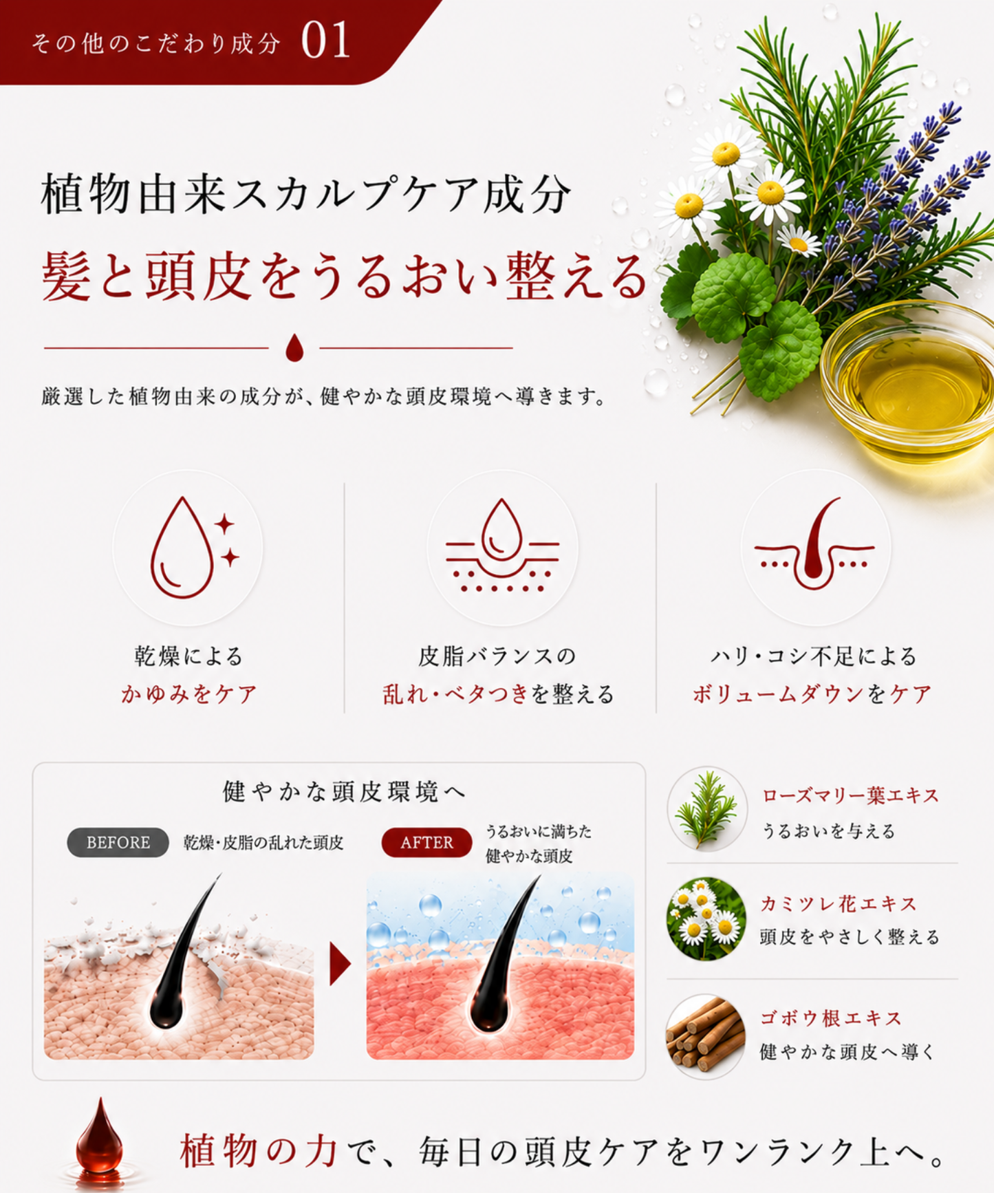 【DRH+】エイジングスカルプケア 究極のヘアケア7点SET (シャンプー/トリートメント(各本体・詰替え)/ダメージ補修美容原液/ヘアオイル/ヘアマスク)