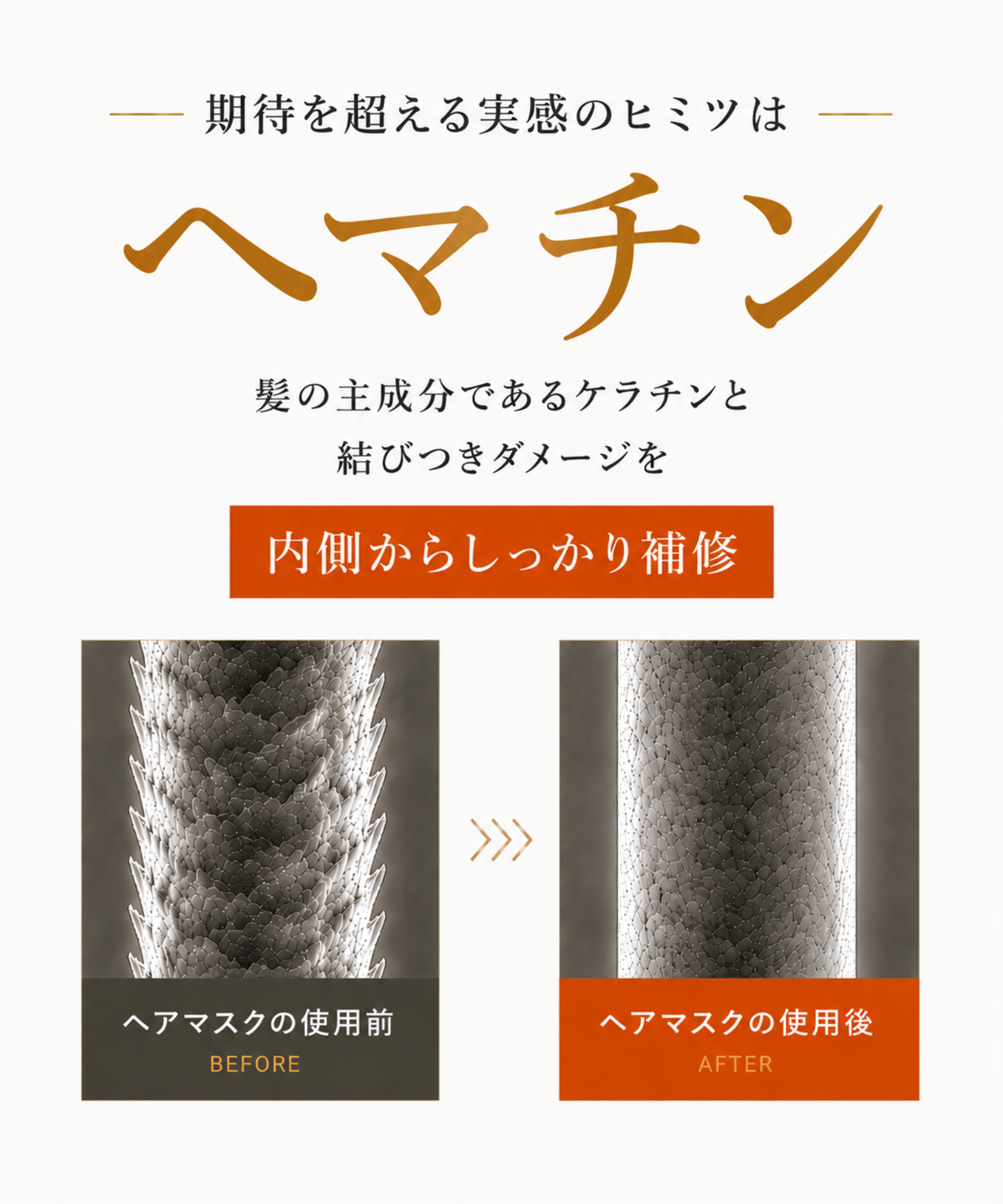 【DRH+】エイジングスカルプケア 究極のヘアケア7点SET (シャンプー/トリートメント(各本体・詰替え)/ダメージ補修美容原液/ヘアオイル/ヘアマスク)