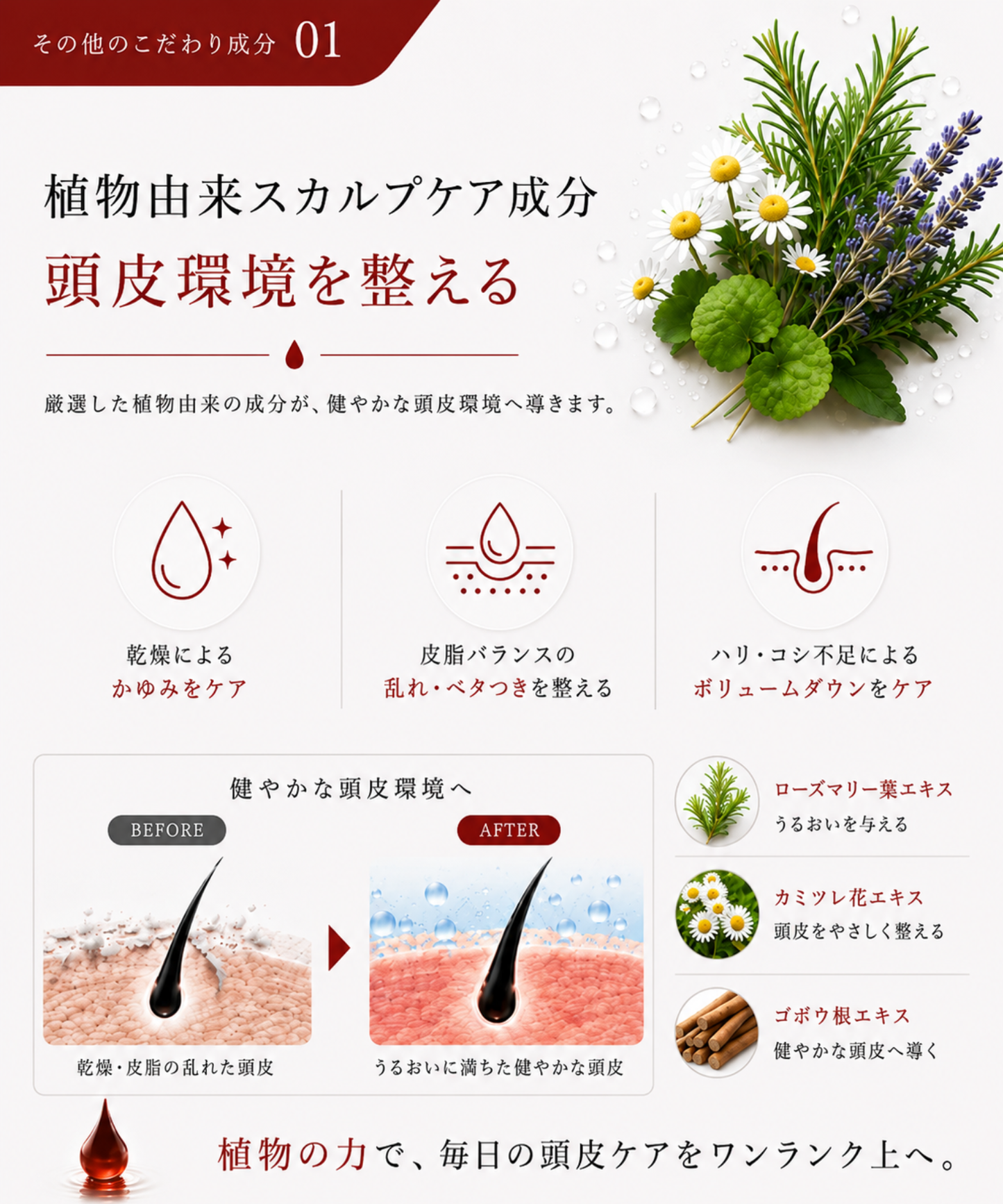 【DRH+】エイジングスカルプケア シャンプー /単品 400ml(ヘマチン配合)